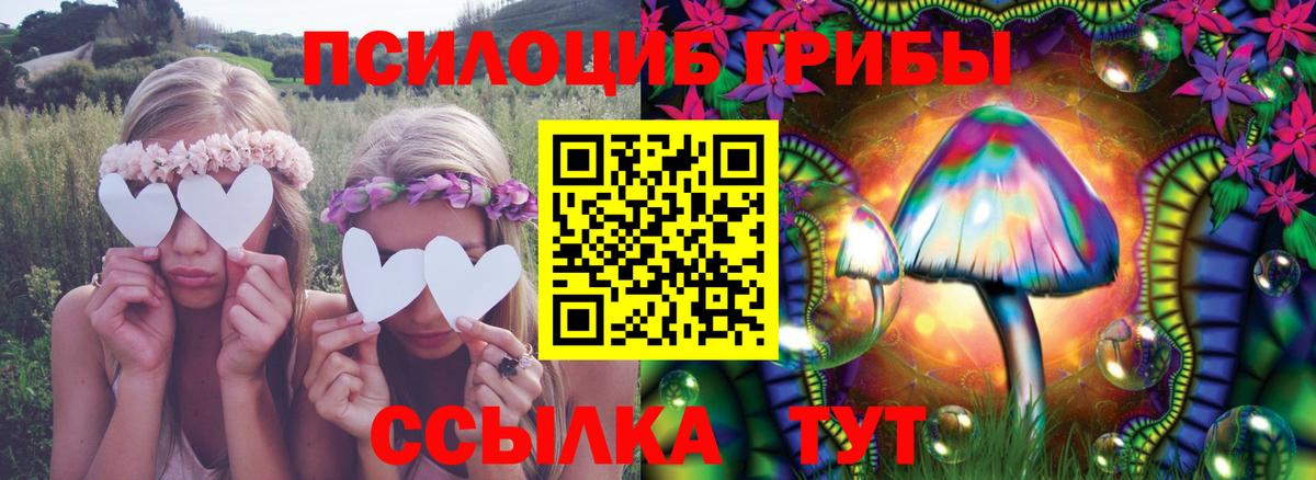 Псилоцибиновые грибы мухоморы Ангарск