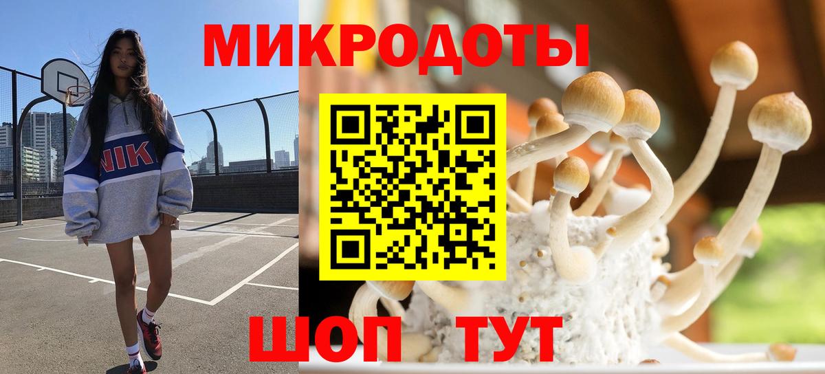 Галлюциногенные грибы прущие грибы  Галлюциногенные грибы мицелий  Ангарск  Вход с VPN 